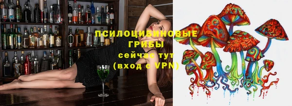 дмт Балабаново