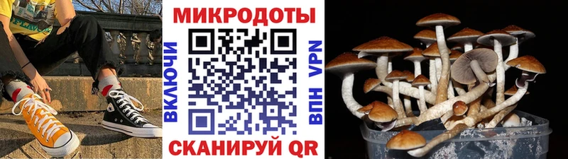 Псилоцибиновые грибы GOLDEN TEACHER  Ливны 